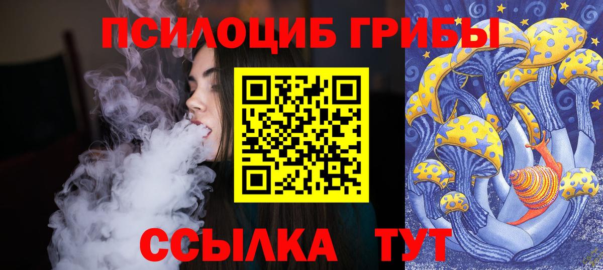 Галлюциногенные грибы MAGIC MUSHROOMS  Вход с VPN  Канаш 